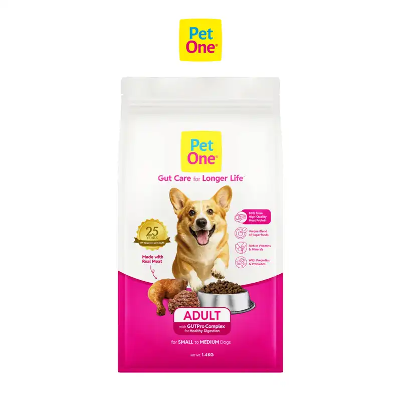 THỨC ĂN PET ONE DÀNH CHO CHÓ TRƯỞNG THÀNH VỚI PHỨC HỢP HỖ TRỢ ĐƯỜNG RUỘT - Ảnh 10